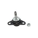 Rotula Inferior S60 01-09
