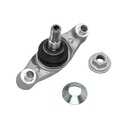 Rotula Inferior S60 19-21