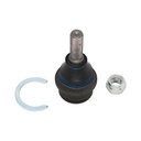 Rotula Superior Eurovan 01-04