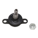 Rotula Inferior Eurovan 05-20