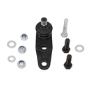 Rotula Inferior 12 MM Clio Sport 02-06