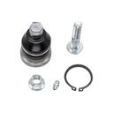 Rotula Inferior Grand Caravan 84-90