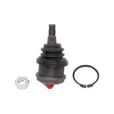 Rotula Superior Expedition 97-02