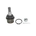 Rotula Inferior E-250 92-06