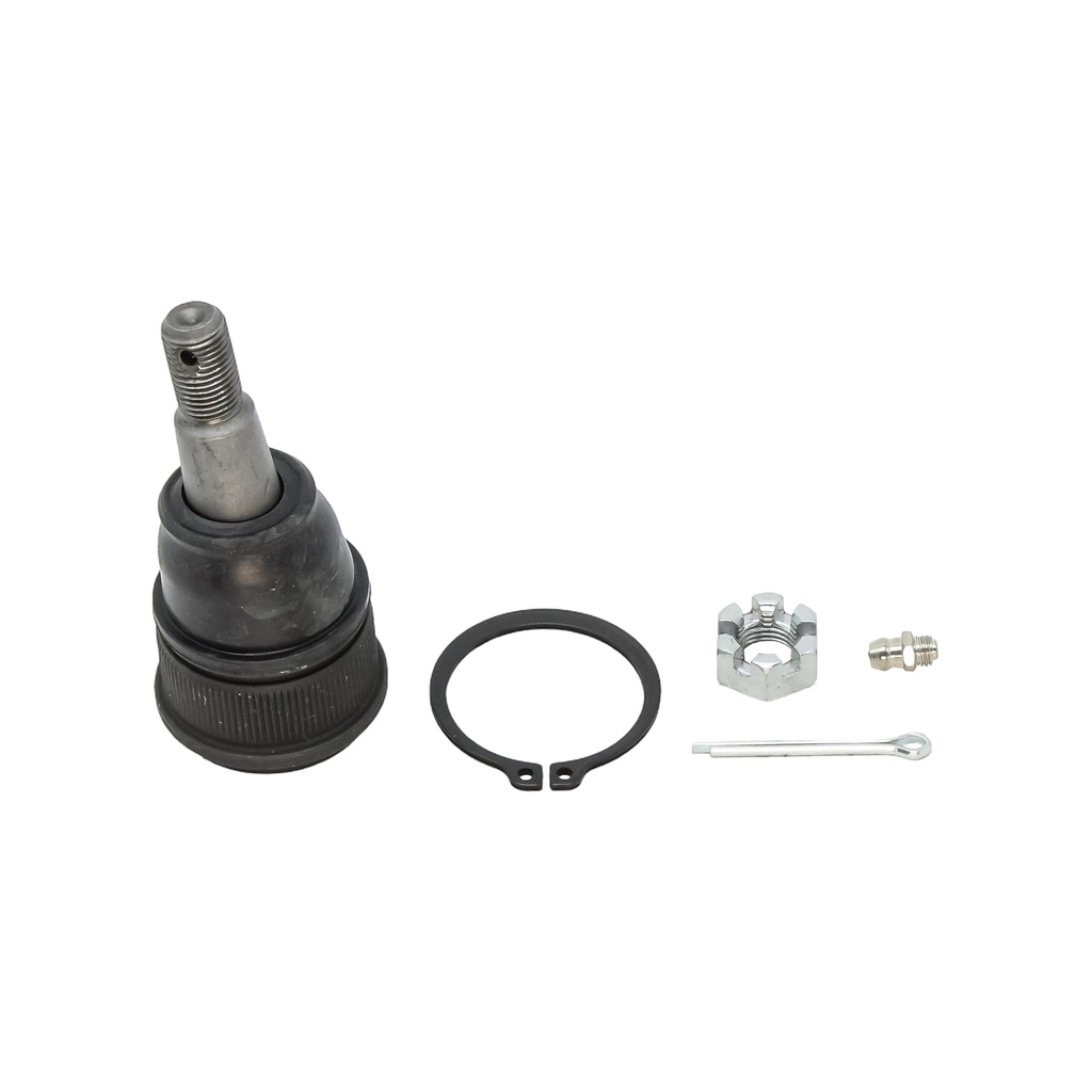Rotula Inferior Odyssey 99-04