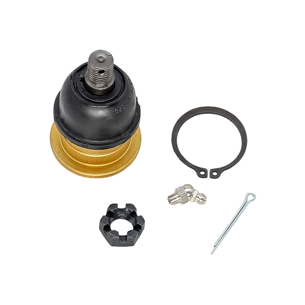 Rotula Superior D-50 79-80