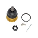 Rotula Superior D-50 79-80