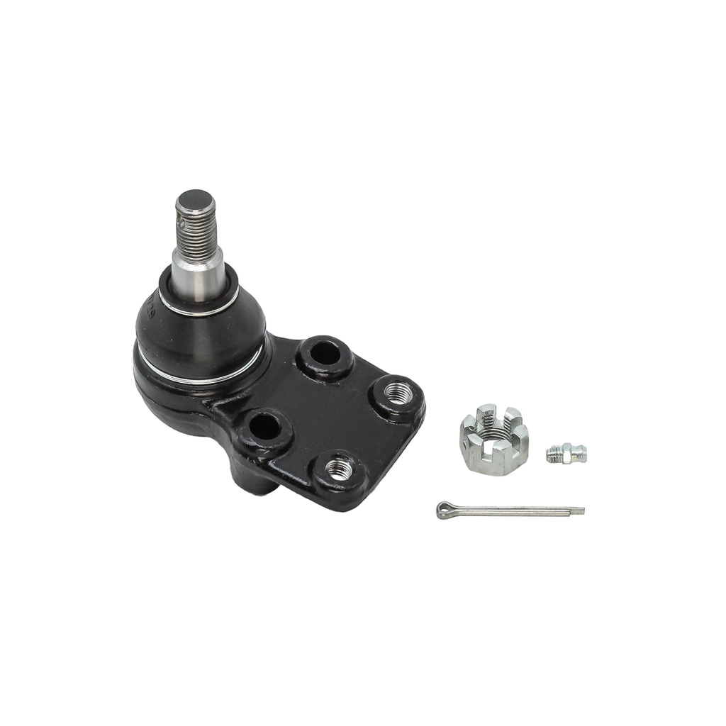 Rotula Inferior Luv 81-82