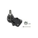 Rotula Inferior Luv 81-82