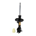 Amortiguador Delantero Izquierdo Argo 21-25