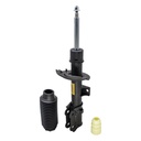 Amortiguador Delantero Izquierdo C/Tope Creta 16-24