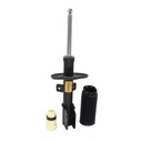 Amortiguador Delantero Expert 18-24