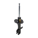 Amortiguador Delantero Derecho & XRS 09-10