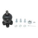 Rotula Superior H-100 03-07