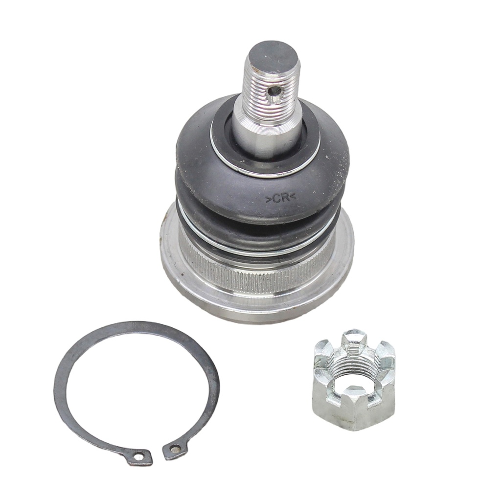 Rotula Inferior H-100 03-10