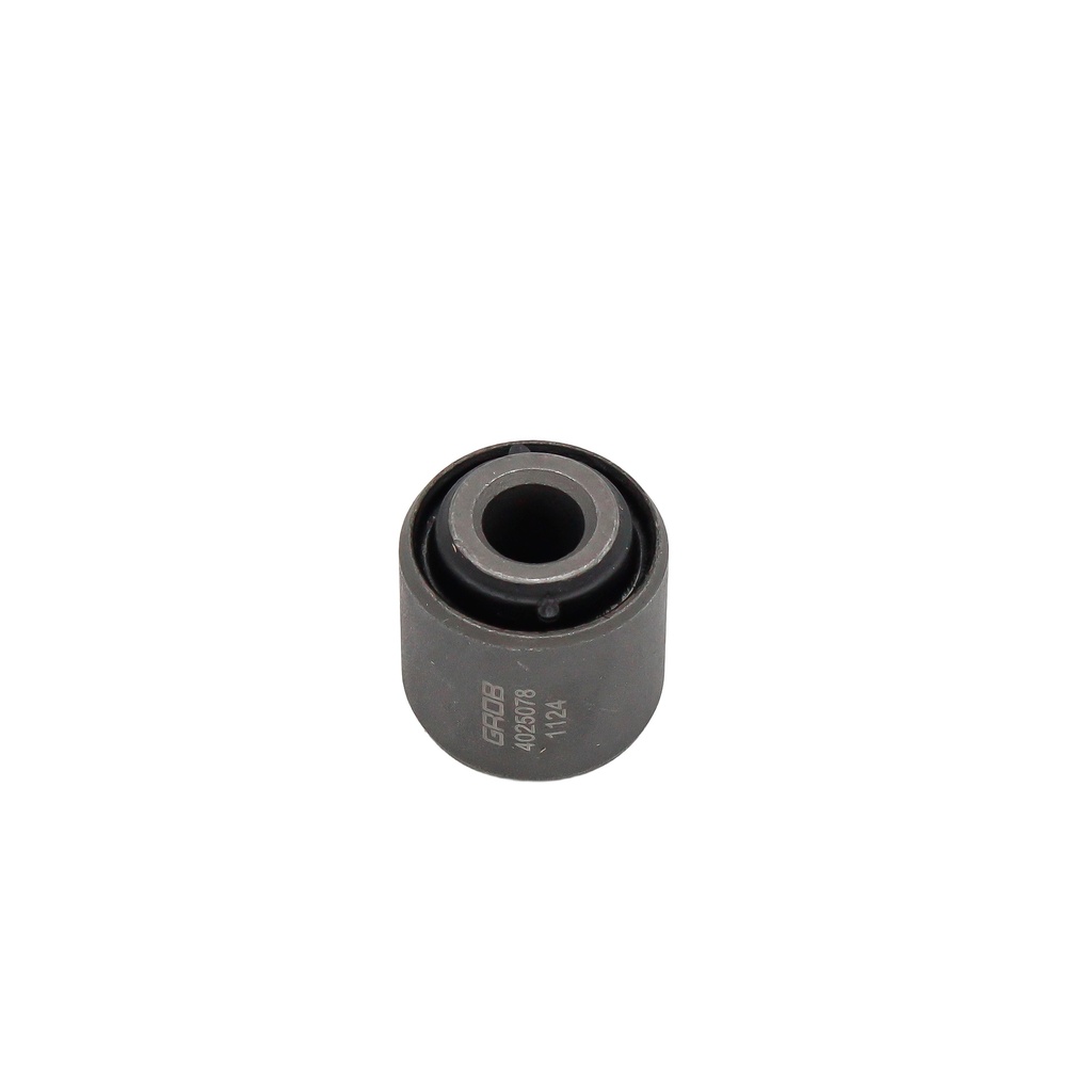 Buje Trasero Focus 99-11