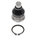 Rotula Inferior Ecosport 13-22