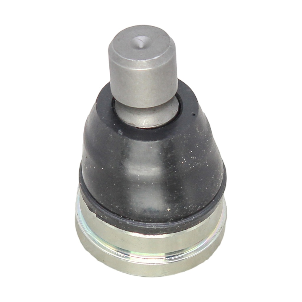 Rotula Inferior Figo 15-21