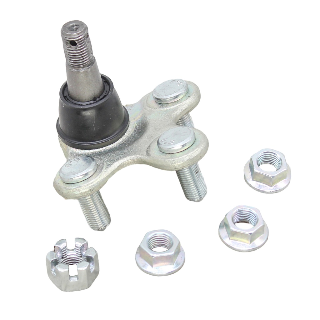 Rotula Inferior RDX 18-23