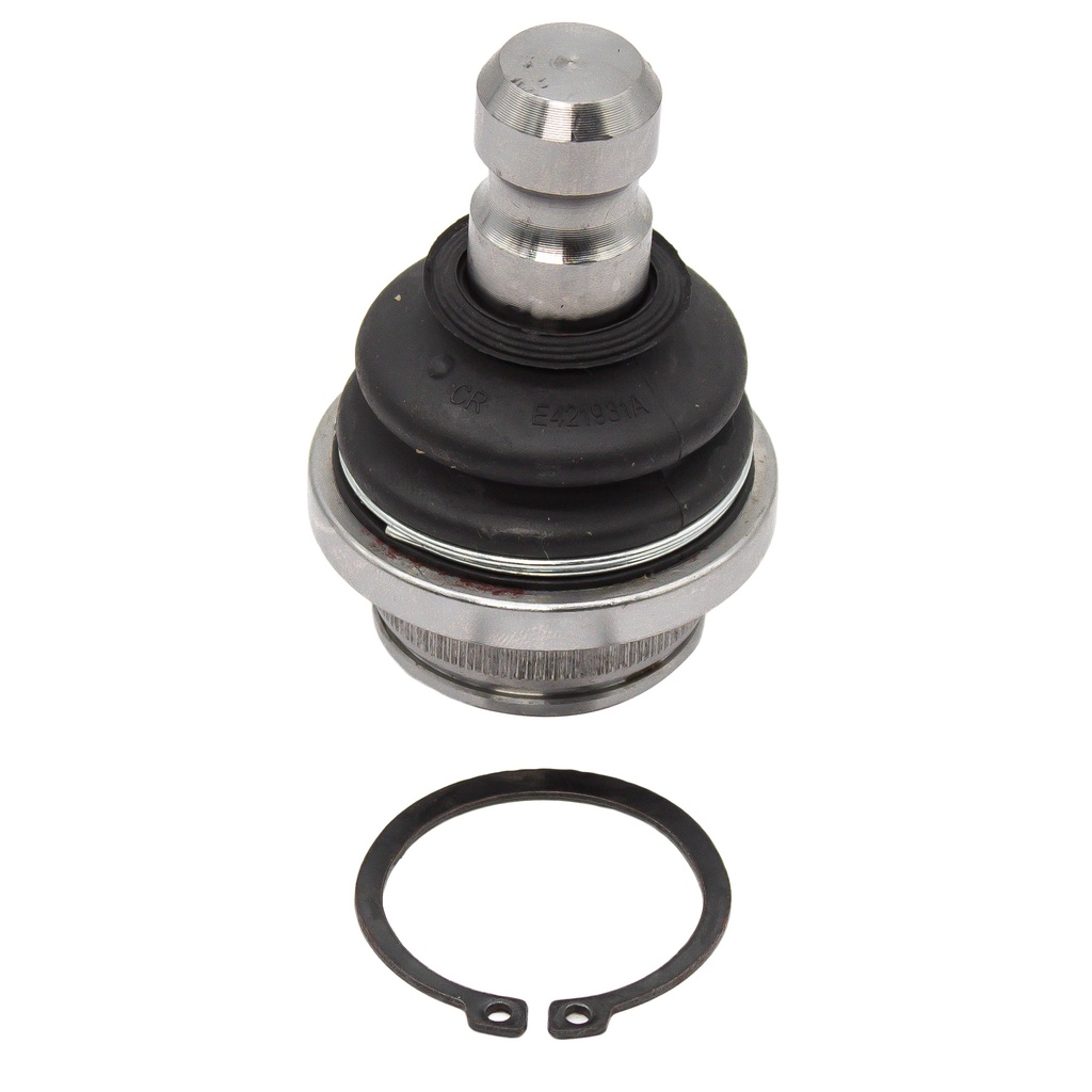Rotula Inferior QX80 14-20