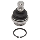 Rotula Inferior QX80 14-20