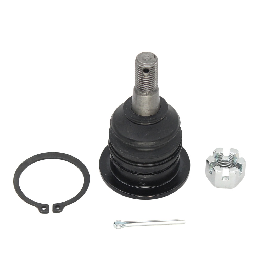Rotula Superior Prerunner 05-19