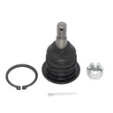 Rotula Superior Prerunner 05-19