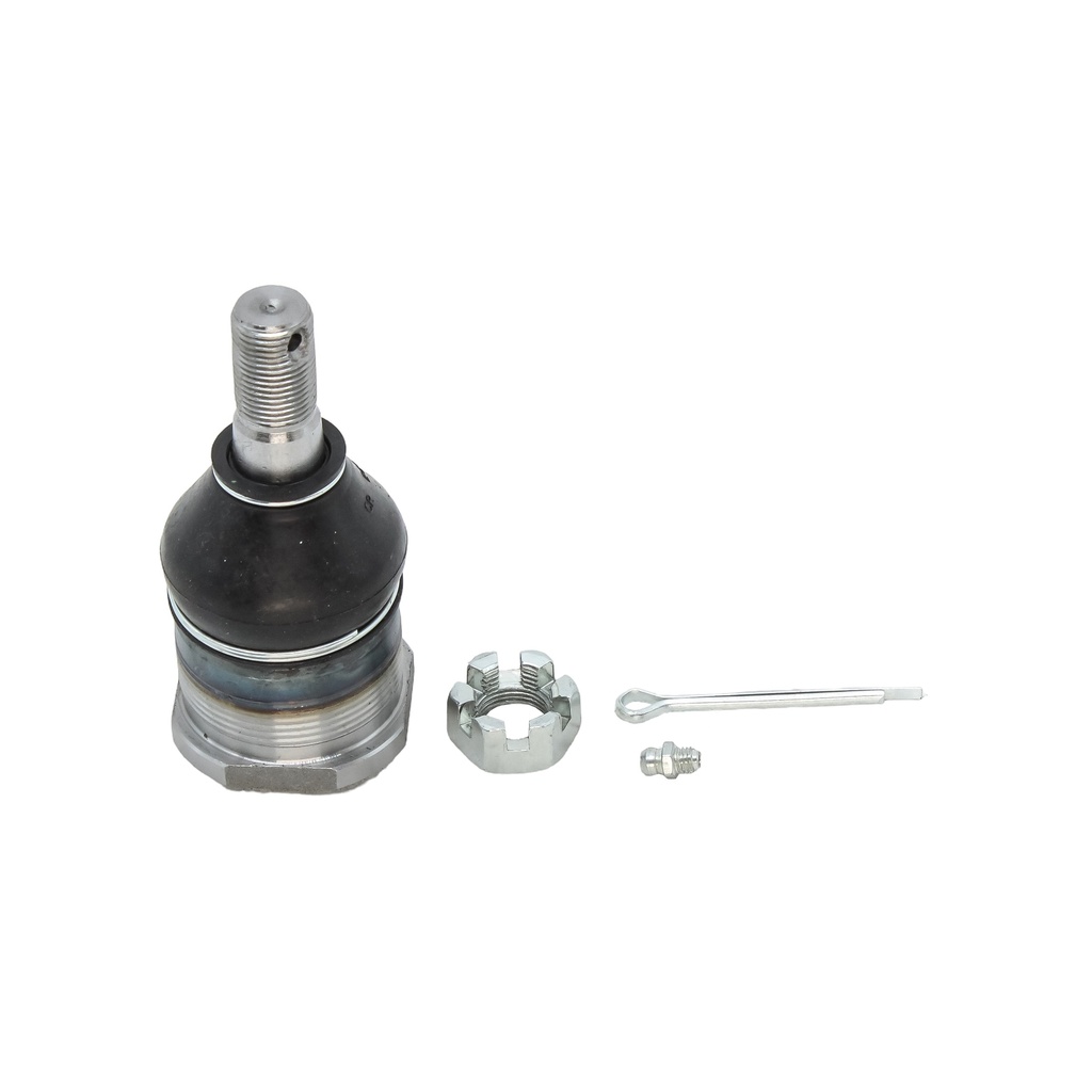 Rotula Superior Dina 3000 72-77