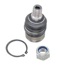 Rotula Inferior Ram-2500 4X4 Eje Solido 94-99