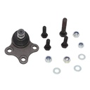 Rotula Inferior Contour 95-01