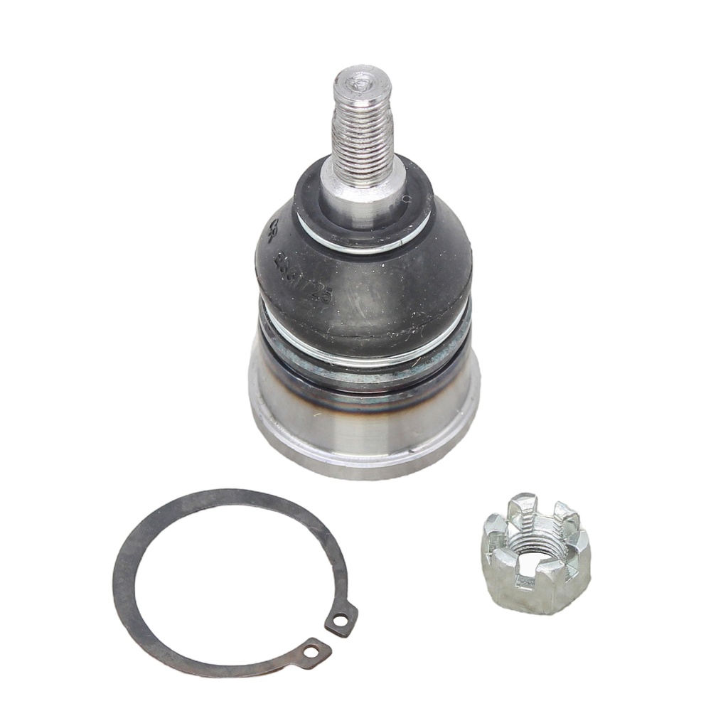 Rotula Inferior CL 97-03
