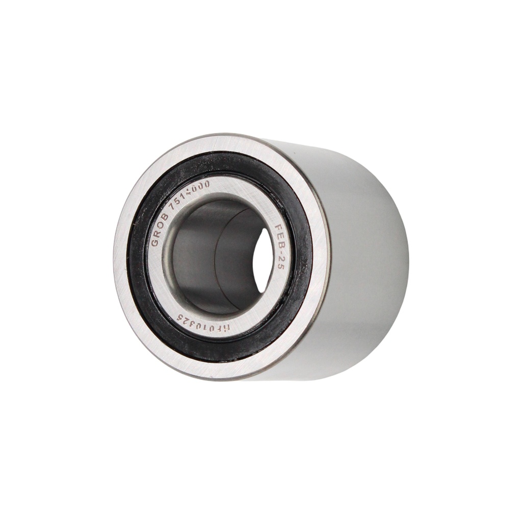 Balero Doble Trasero 25*55*43 A160 00-05