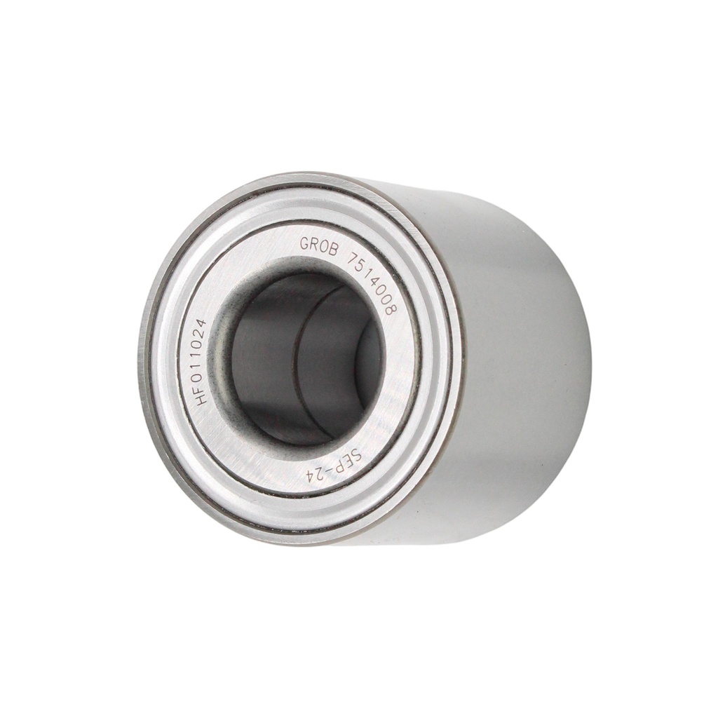 Balero Doble Trasero 25*55*45 Megane 04-09