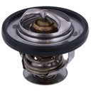 Termostato MotoRad 416-203
