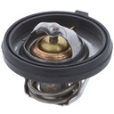 Termostato MotoRad 340-195