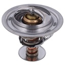 Termostato MotoRad 302-170