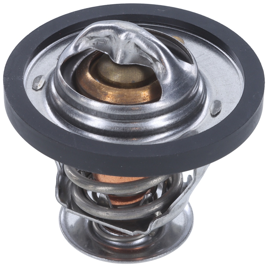 Termostato MotoRad 441-170