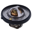 Termostato MotoRad 420-195