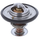 Termostato MotoRad 265-195
