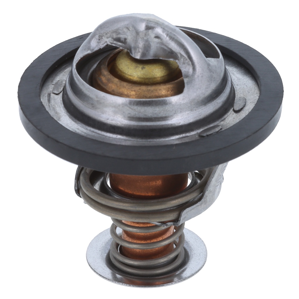 Termostato MotoRad 267-195