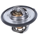 Termostato MotoRad 726-180
