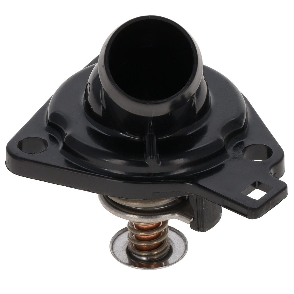 Termostato IHT MotoRad 636-170