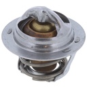 Termostato MotoRad 203-195