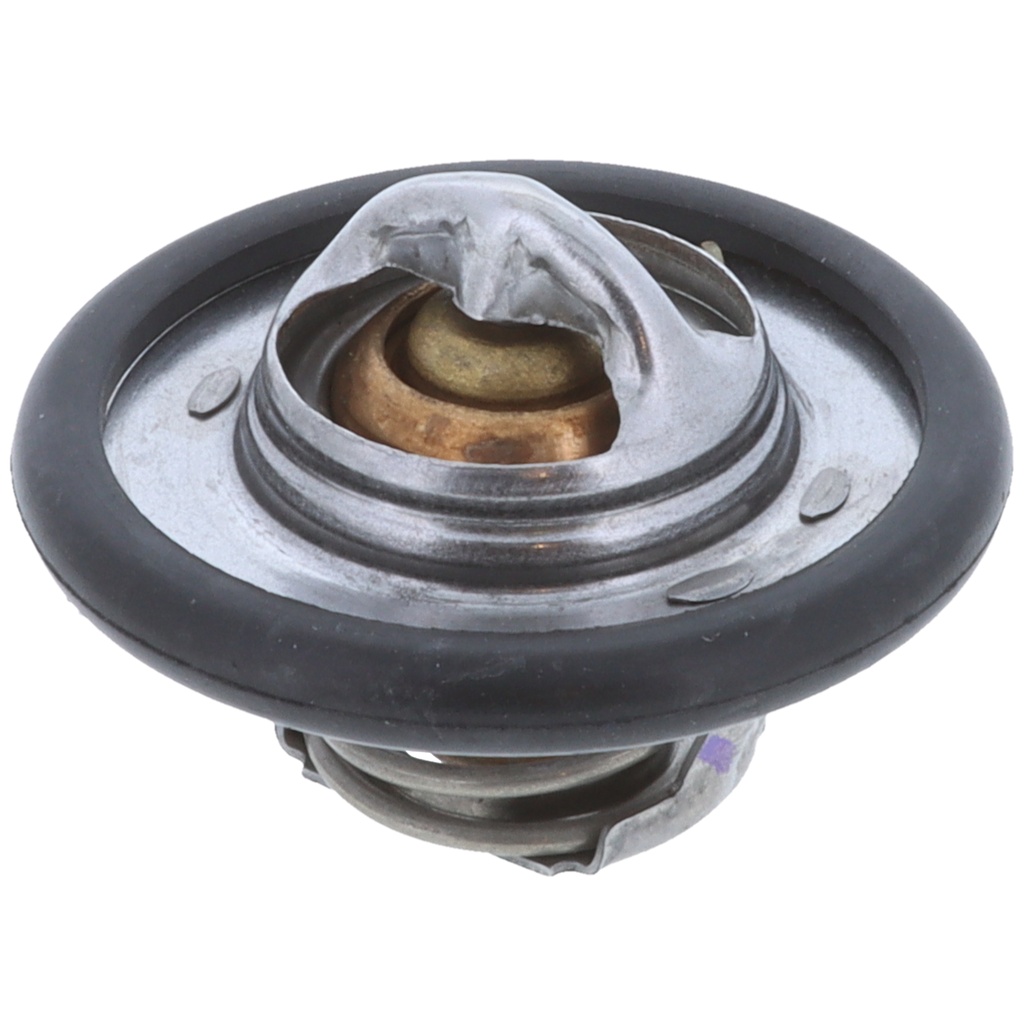 Termostato MotoRad 333-198