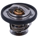 Termostato MotoRad 416-192