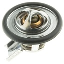 Termostato MotoRad 418-170