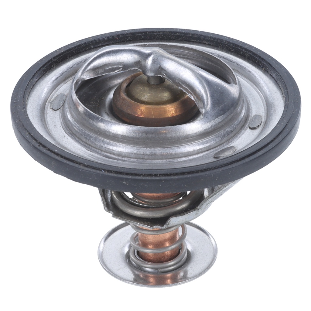 Termostato MotoRad 301-180
