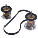 Termostato Heavy Duty MotoRad 716-200