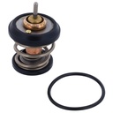 Termostato MotoRad 707-203