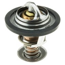 Termostato MotoRad 243-195